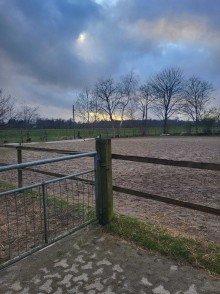 Reitplatz Teilansicht Resthof mit Weideland - ideal f�r Pferdehalter!