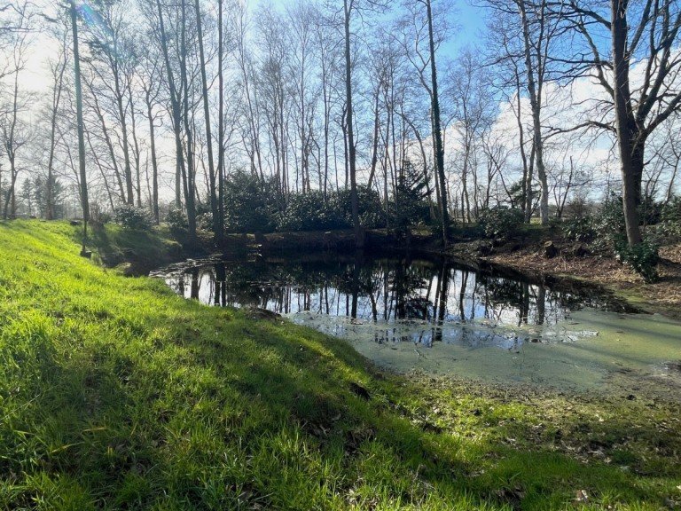 Titelbild Wiefelstede Freizeitgrundst�ck Ca. 1 ha Freizeitgrundst�ck mit kleiner H�tte in Wiefelstede zu verkaufen!