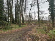 Weg ins Biotope Resthof und Baugrundst�cke am Ortsrand
