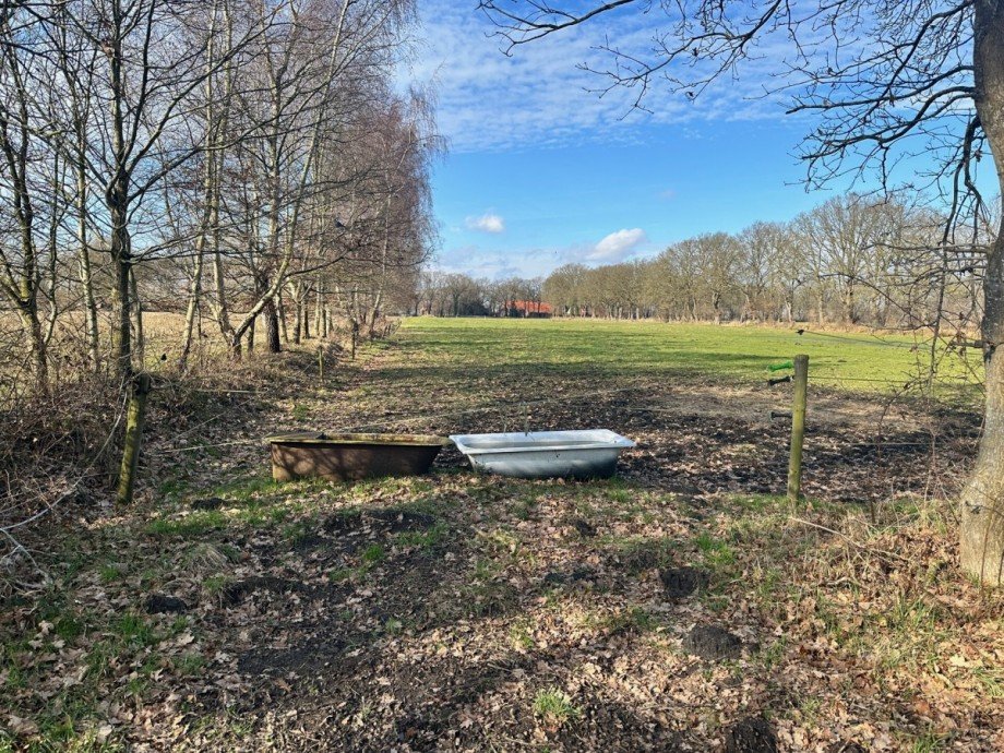 Zufahrt 1 Land- / Forstwirtschaft Apen / Vreschen-Bokel