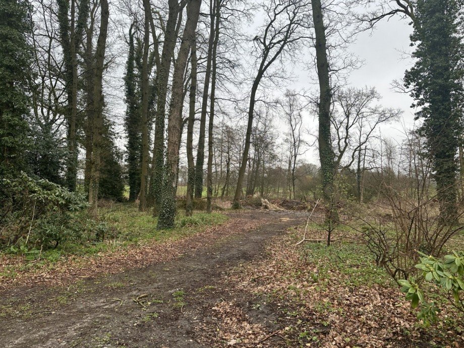 Weg ins Biotope Resthof Wiefelstede