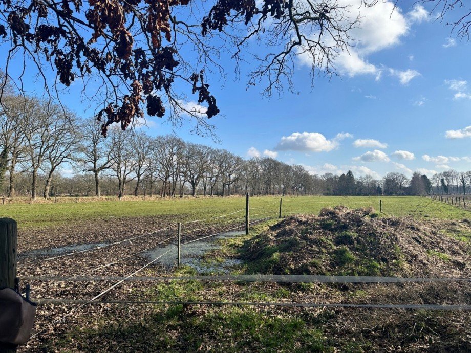 Blick vom Westen Land- / Forstwirtschaft Apen / Vreschen-Bokel