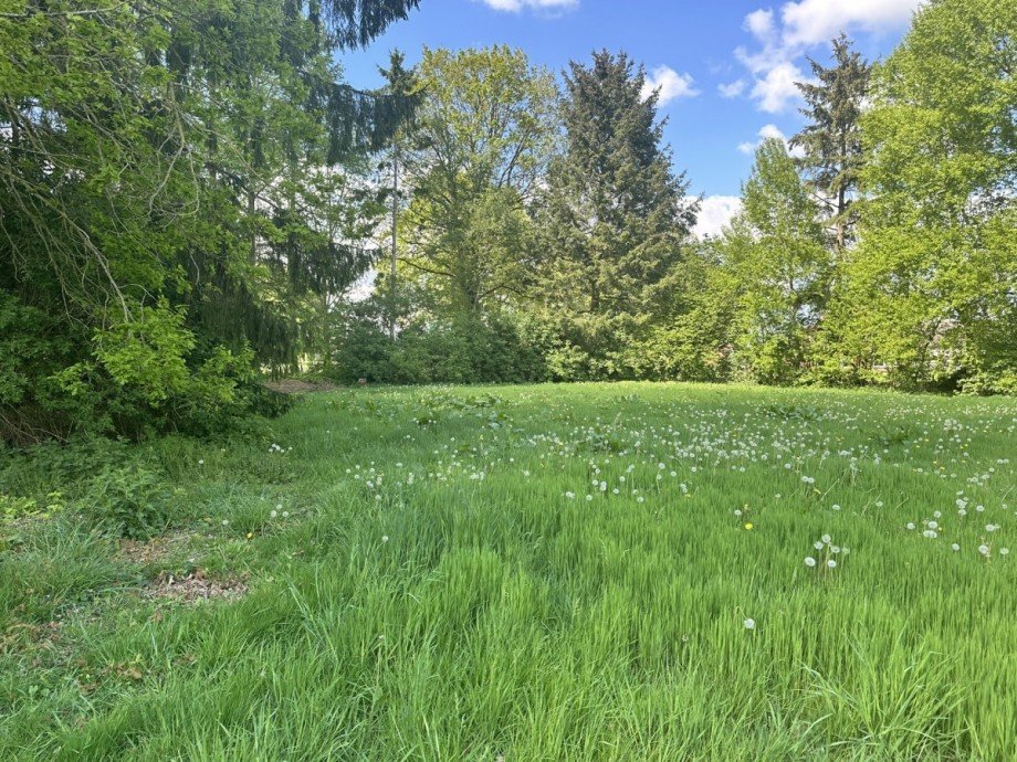 Gr�ne Wiese Bauernhaus Wiefelstede