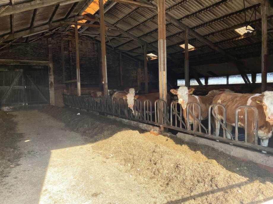 Stall Innen Zweifamilienhaus Westerstede