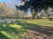 Naturgarten und Weideland Resthof mit Weideland - ideal f�r Pferdehalter!