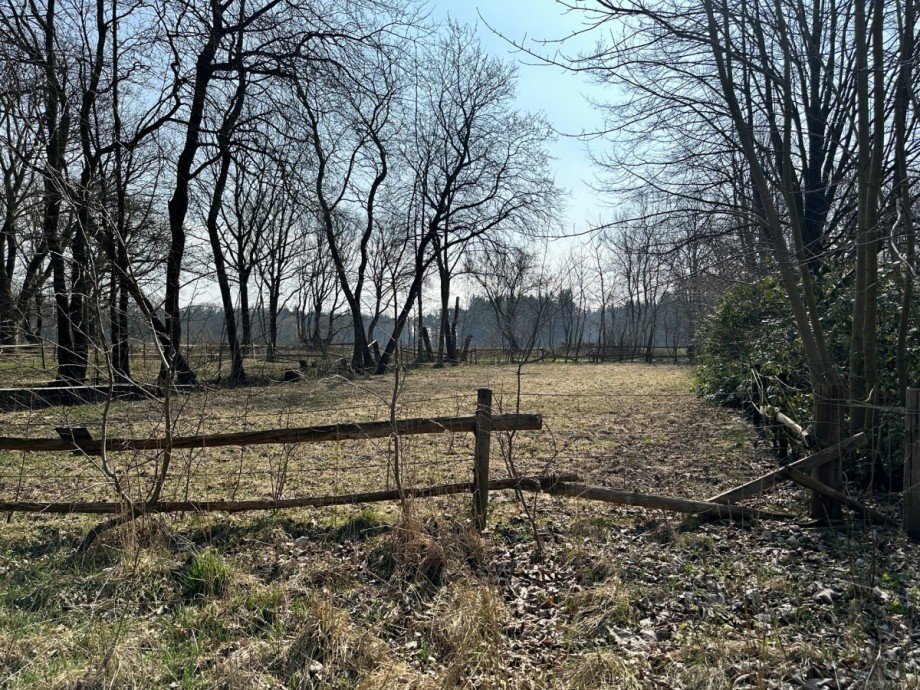 Expansionsfl�che Halle / Lager / Produktion Westerstede-Eggeloge