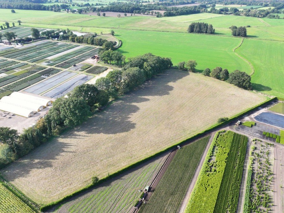 Fl�che 3.1 Reiterh�fe Westerstede