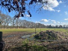 Blick vom Westen 2,4 ha gut konditioniertes Gr�nland (Acker)