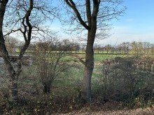 Blick vom Bad ins Gr�ne Interessante Immobilie mit attraktiven Details!