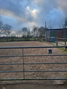 Reitplatz Teilansicht Resthof mit Weideland - ideal f�r Pferdehalter!
