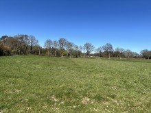 Blick auf Feld Resthof zwischen Rastede und Wiefelstede