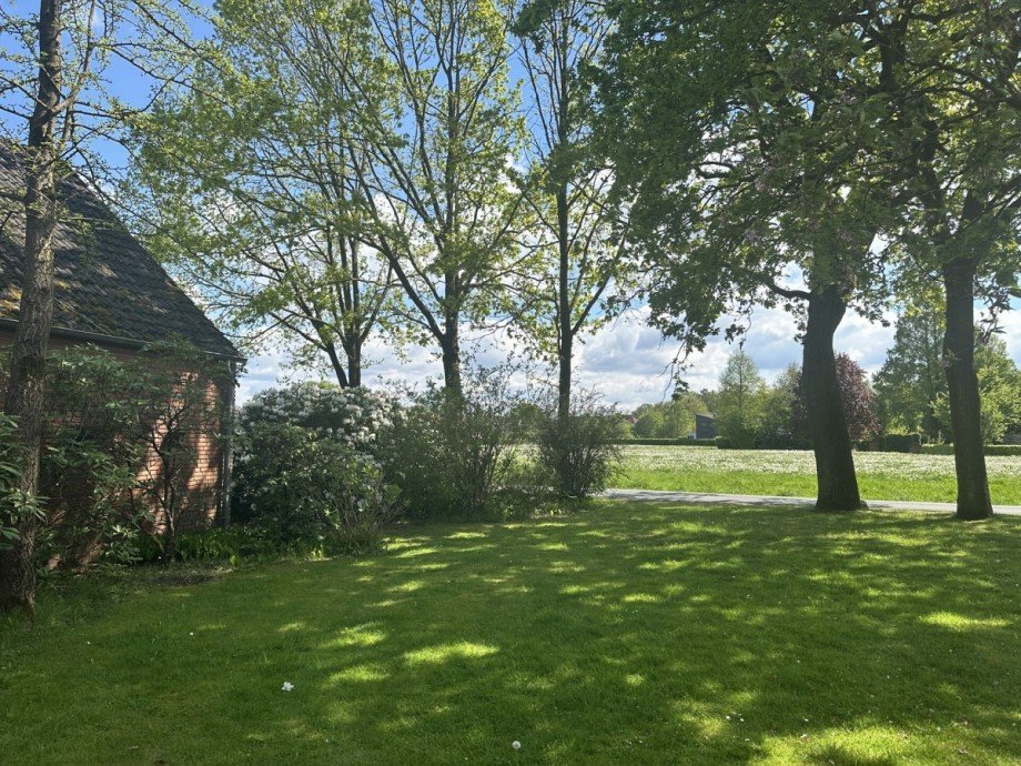 Auch hier gr�ne Wiese Bauernhaus Wiefelstede