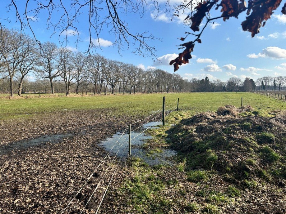 Zufahrt 2 Land- / Forstwirtschaft Apen / Vreschen-Bokel