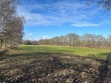 Blick von Osten 2,4 ha gut konditioniertes Gr�nland (Acker)