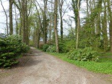 Alleezufahrt Resthof und Baugrundst�cke am Ortsrand