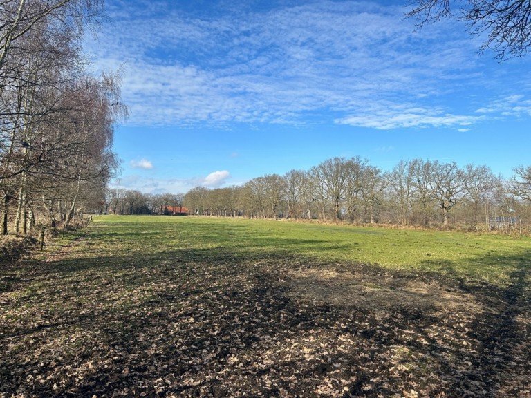 Blick von Osten Apen / Vreschen-Bokel - Apen Land- / Forstwirtschaft 2,4 ha gut konditioniertes Gr�nland (Acker)