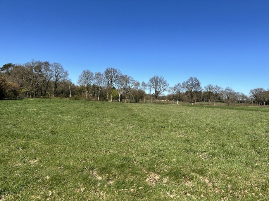 Blick auf Feld Resthof Wiefelstede / Wemkendorf