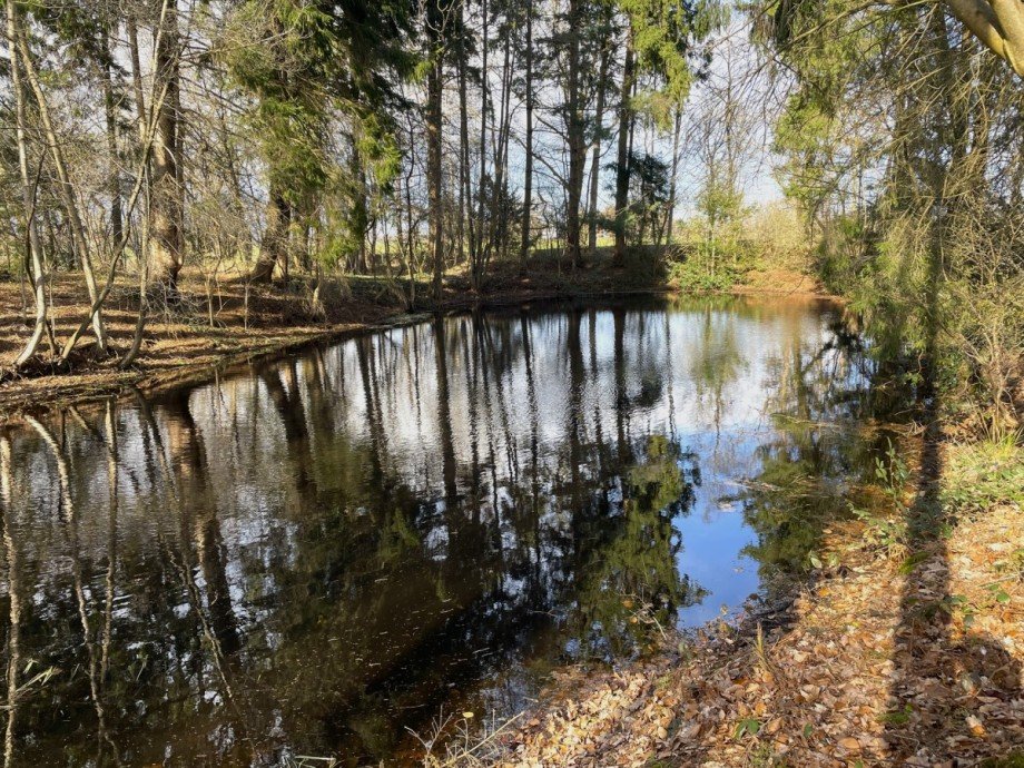 Teich 2 Freizeitgrundst�ck Wiefelstede