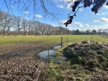 Zufahrt 2 2,4 ha gut konditioniertes Gr�nland (Acker)