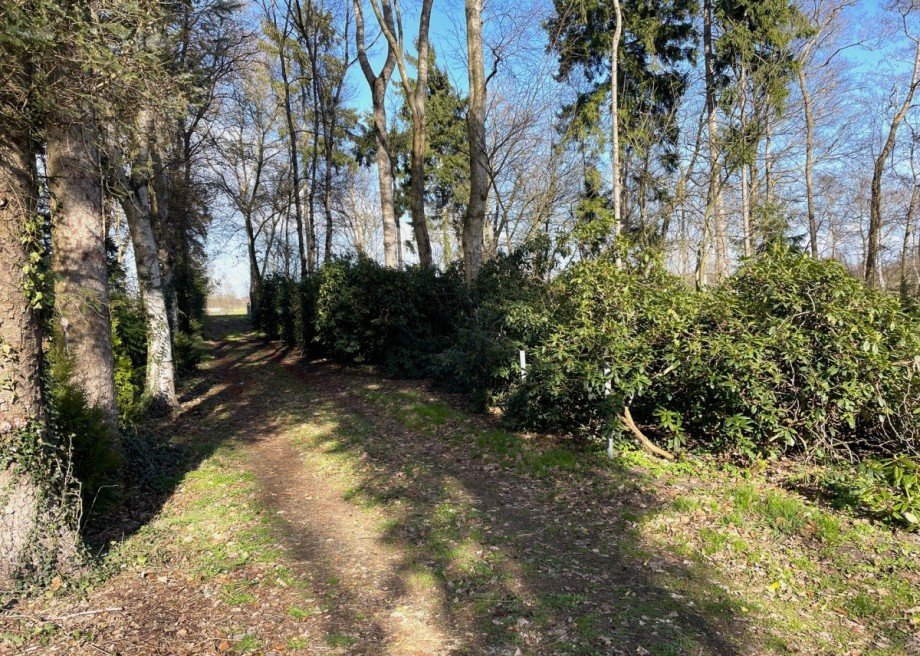 Auffahrt Freizeitgrundst�ck Wiefelstede