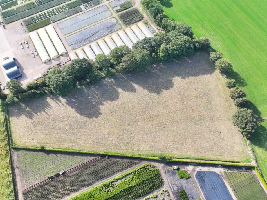 Fl�che 3 Reiterh�fe Westerstede