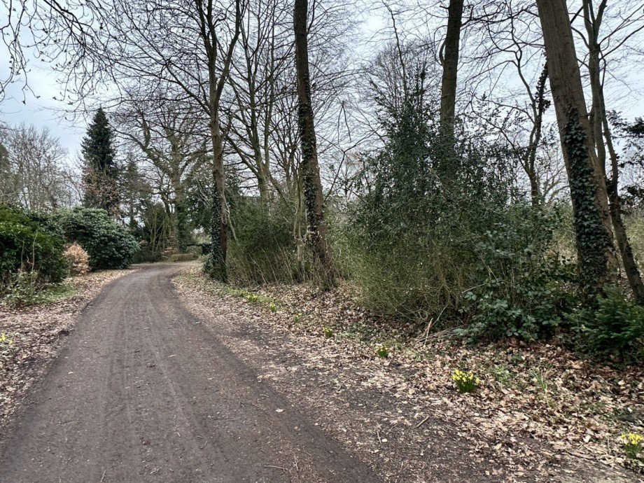 Eine Sackgasse! Grundst�ck Wiefelstede